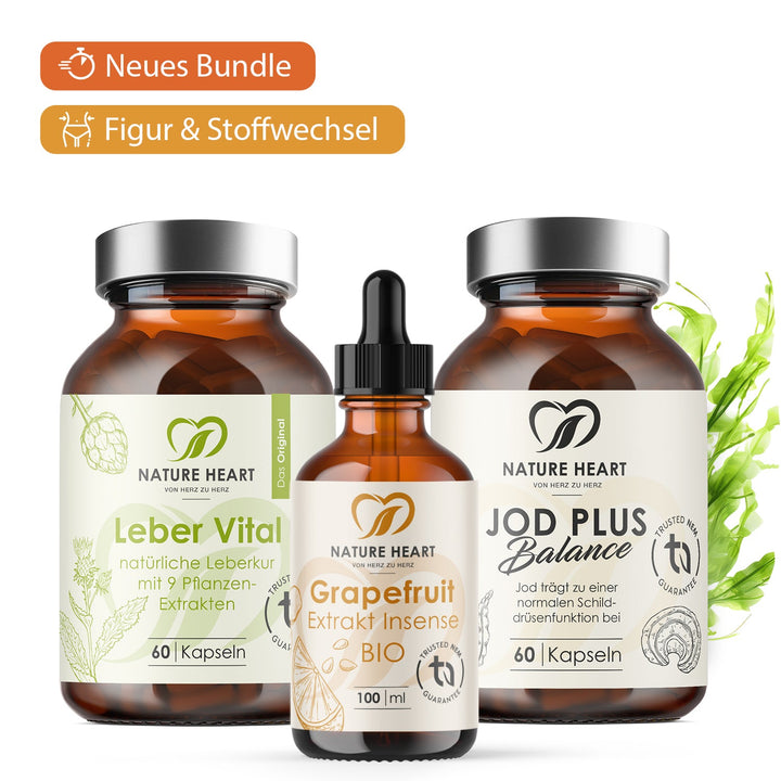 Nature Heart Nahrungsergänzungsmittel Transformations Figur Bundle