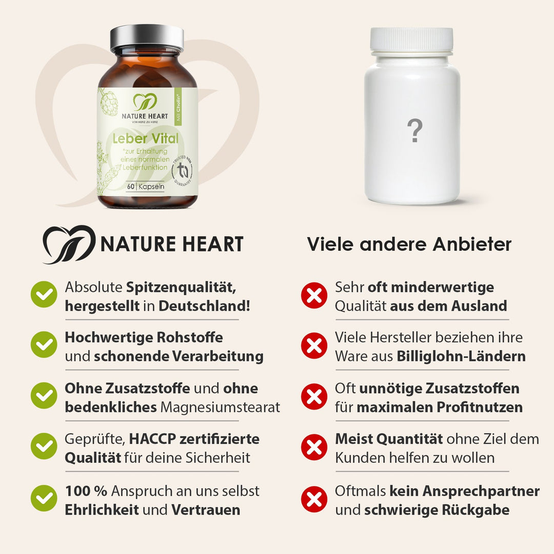 Nature Heart Nahrungsergänzungsmittel Leber Vital mit 9 Pflanzenextrakten
