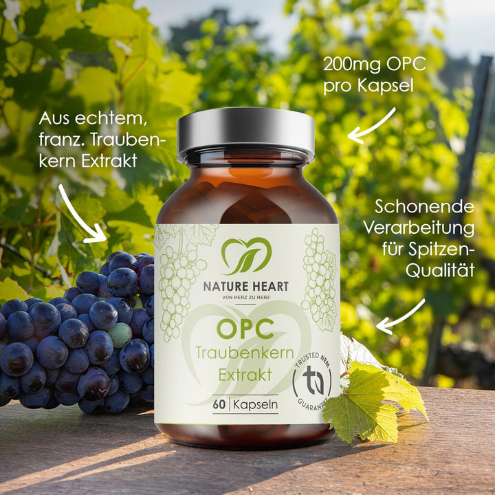Nature Heart Nahrungsergänzungsmittel OPC Traubenkern Extrakt