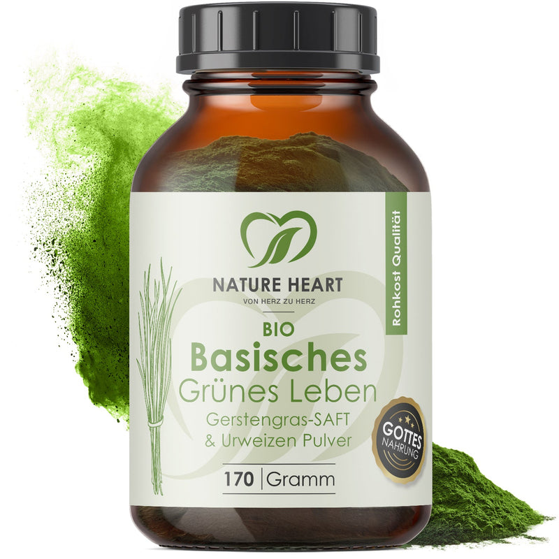 Bio Gerstengrassaft Pulver