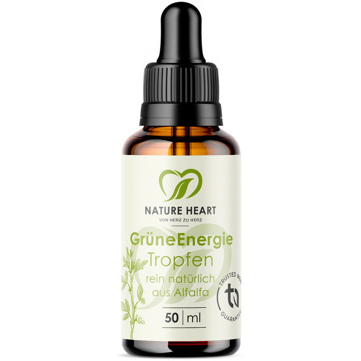 Grüne Energie - Chlorophyll Tropfen