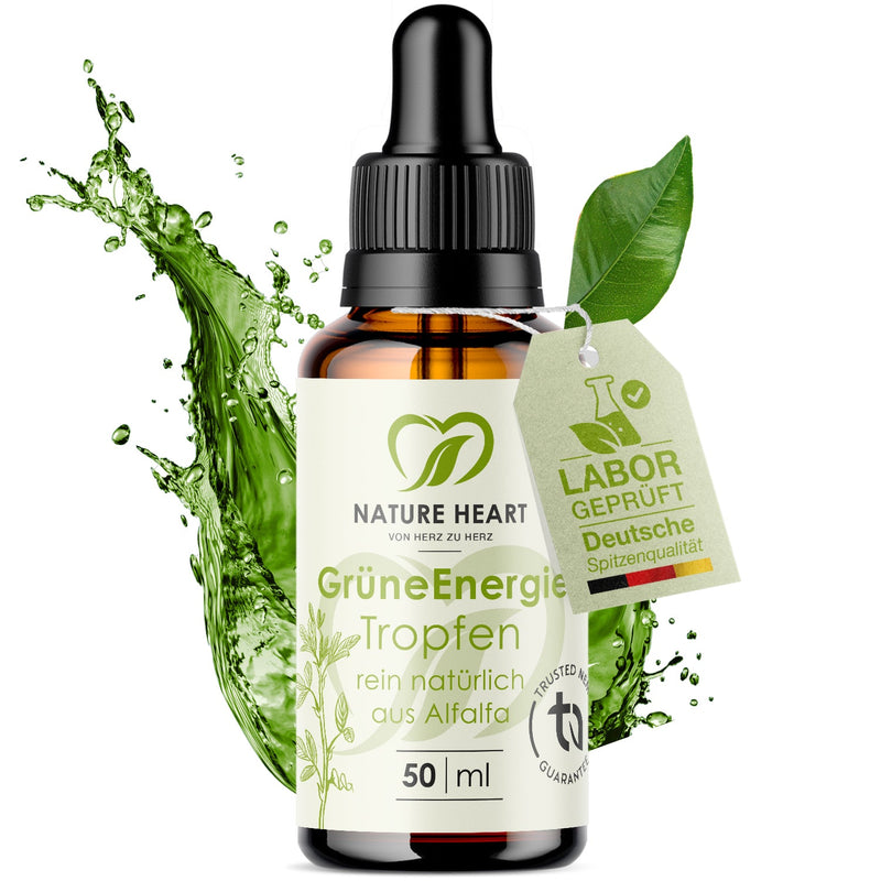 Grüne Energie Chlorophyll Tropfen