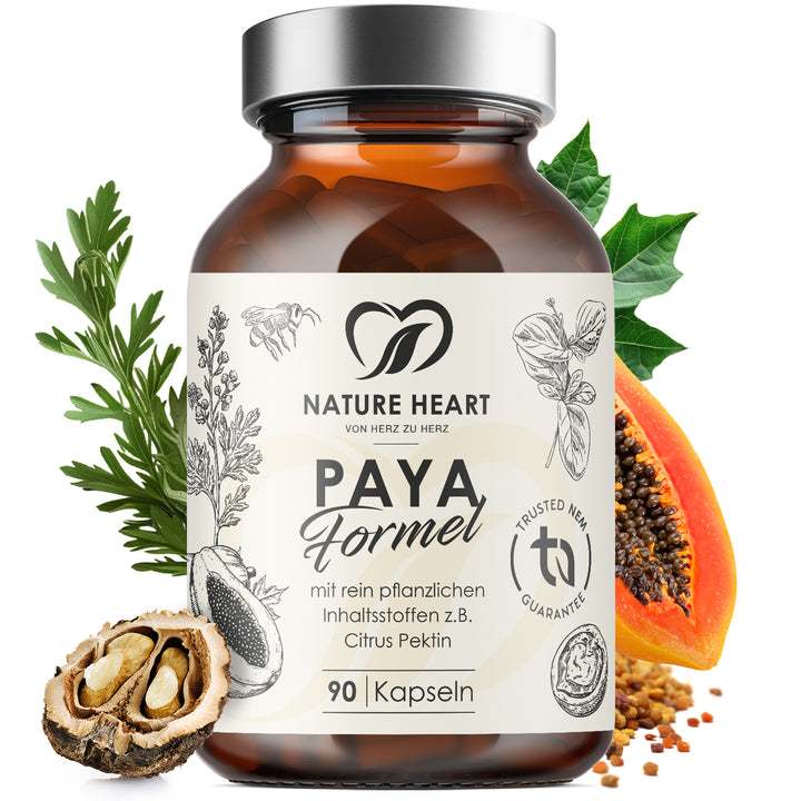 Paya Formel | limitiert