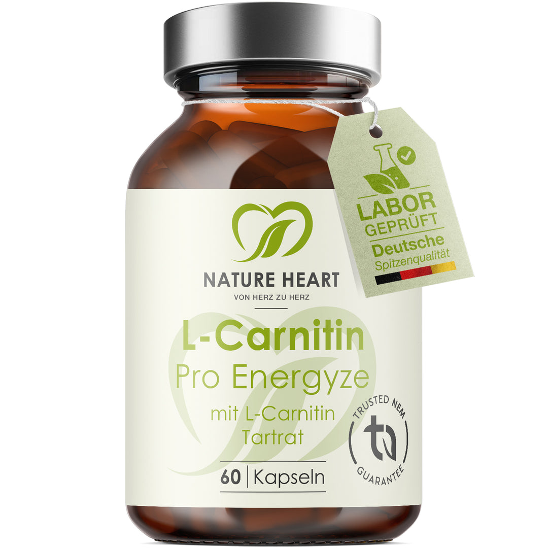 L-Carnitin Kapseln | Natrlich fitter fhlen | Nature Heart L-Carnitin Kapseln | Natrlich fitter fhlen | Nature Heart