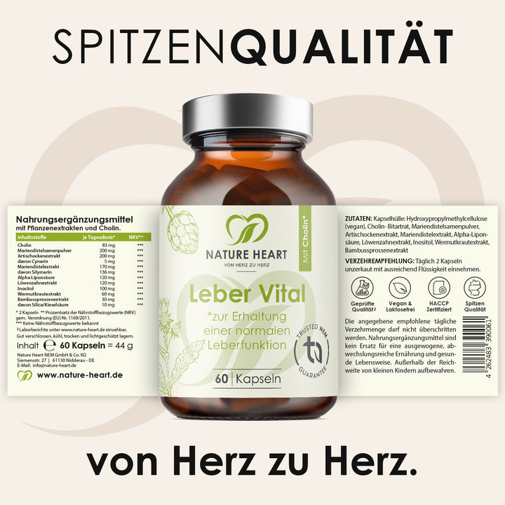 Leber Vital mit 9 Pflanzenextrakten
