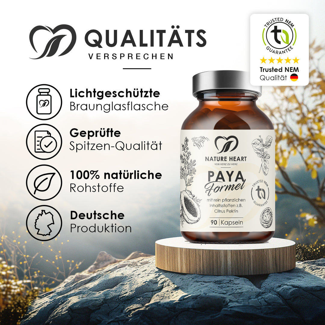 Paya Formel | limitiert