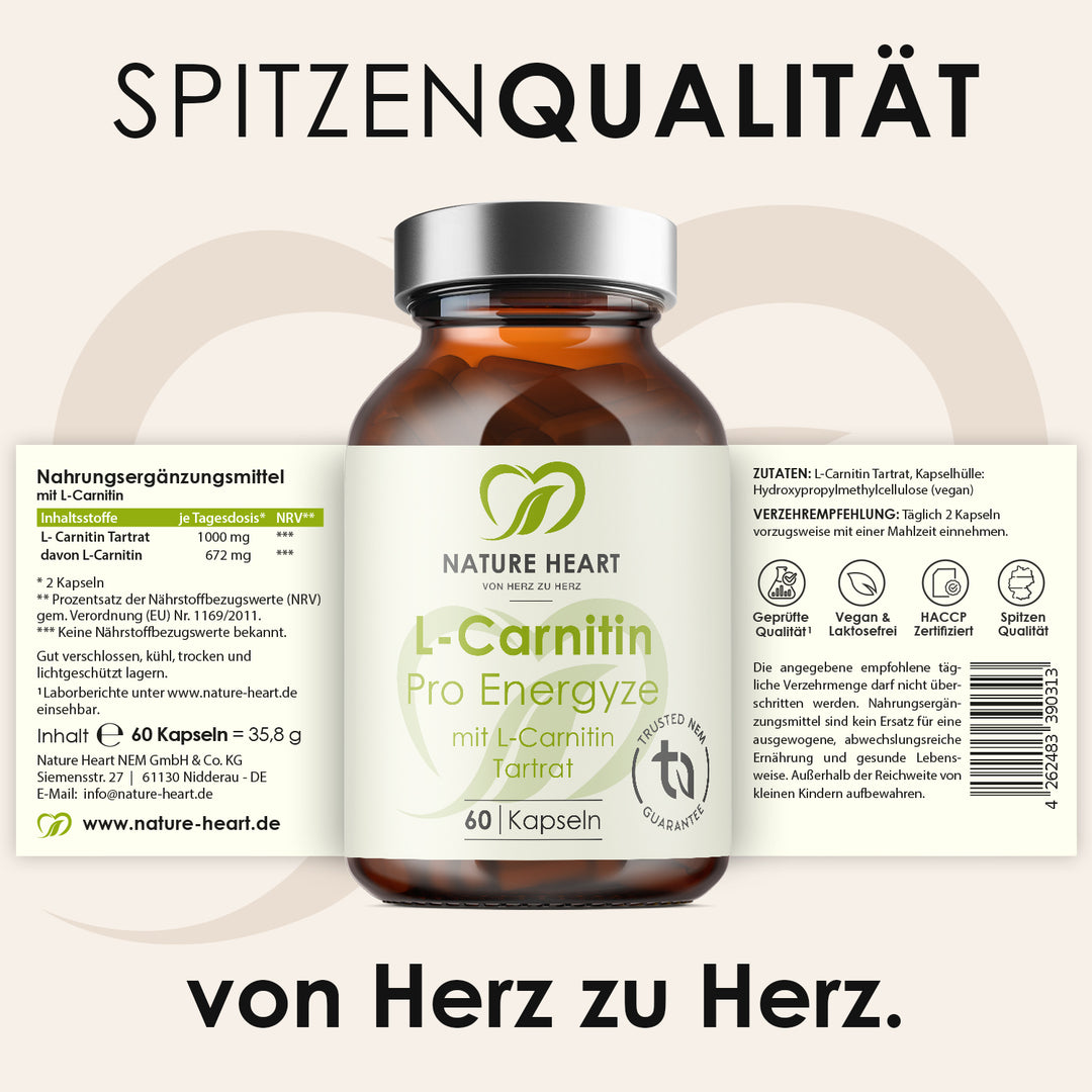 L-Carnitin Kapseln | Natrlich fitter fhlen | Nature Heart L-Carnitin Kapseln | Natrlich fitter fhlen | Nature Heart