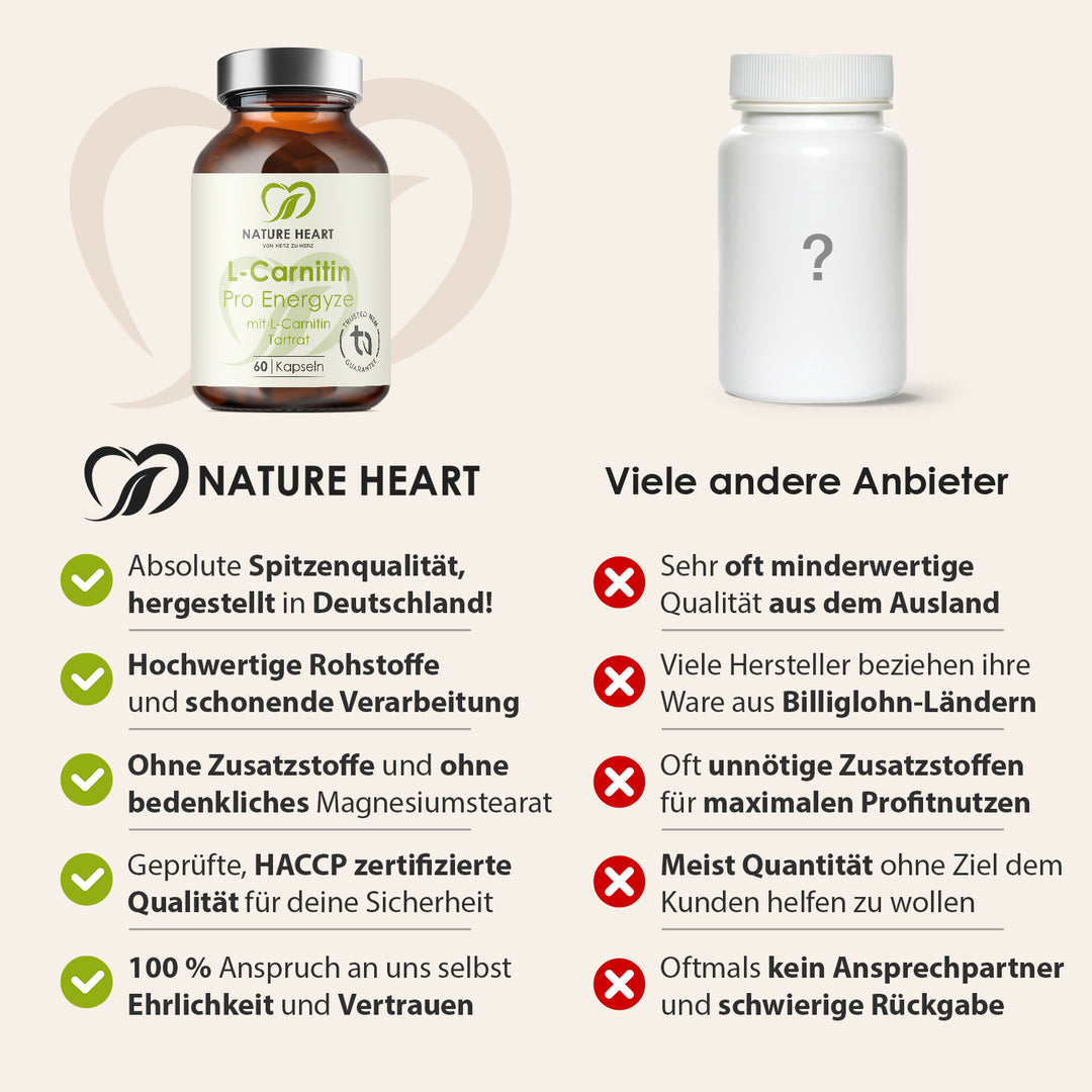 L-Carnitin Pro Energyze