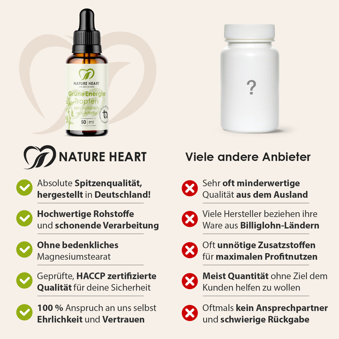 Nature Heart Pflanzenextrakt Grüne Energie - Chlorophyll Tropfen