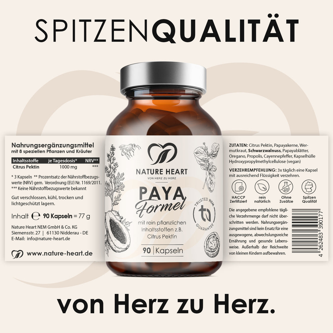 Paya Formel | limitiert