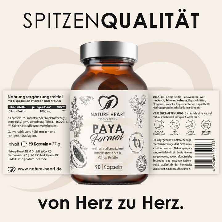 Paya Formel | limitiert
