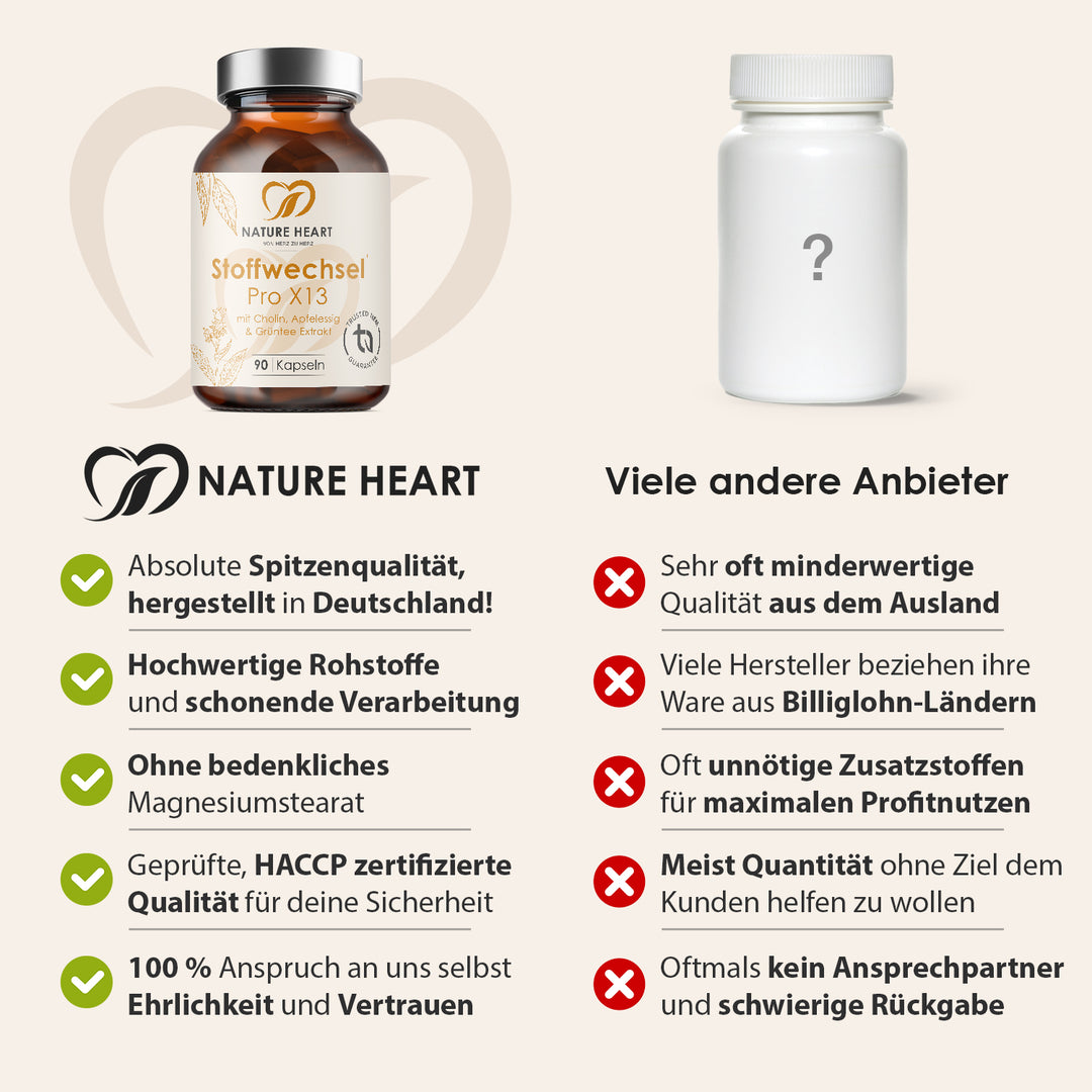 Nature Heart Stoffwechsel-Komplex Stoffwechsel Pro X13