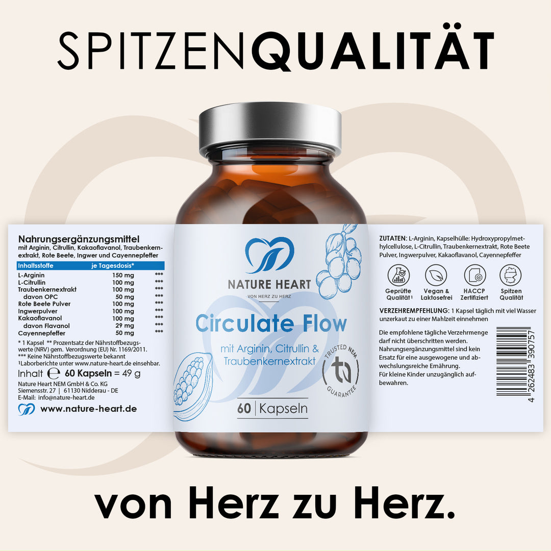 Circulate Flow