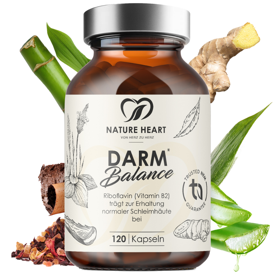 Nature Heart Darm Balance 120 St Kapseln