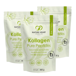 3 Monate Intensivkur