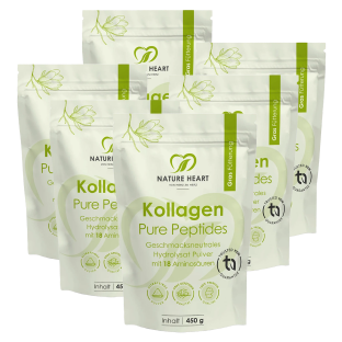 6 Monate Intensivkur