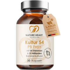 Kultur54 PB Pro+