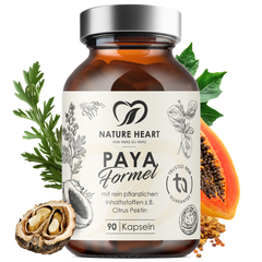 Paya Formel | limitiert
