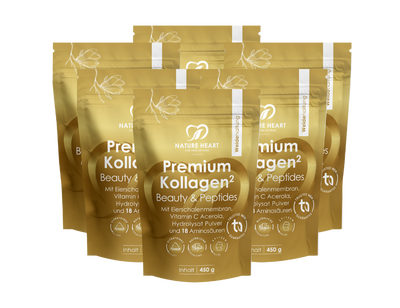 6 Monate Intensivkur