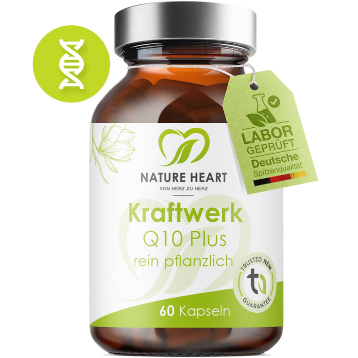 Kraftwerk Q10 Plus