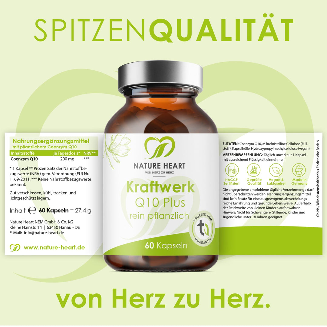 Kraftwerk Q10 Plus