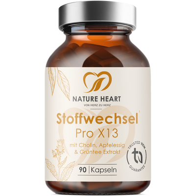 Stoffwechsel Pro X13