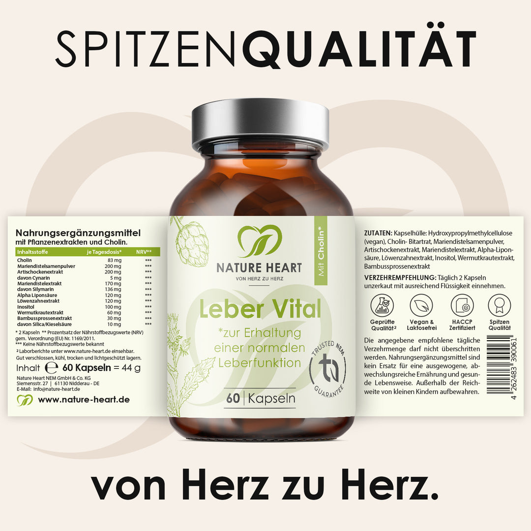 Nature Heart Kräuter-Komplex Leber Vital mit 9 Pflanzenextrakten