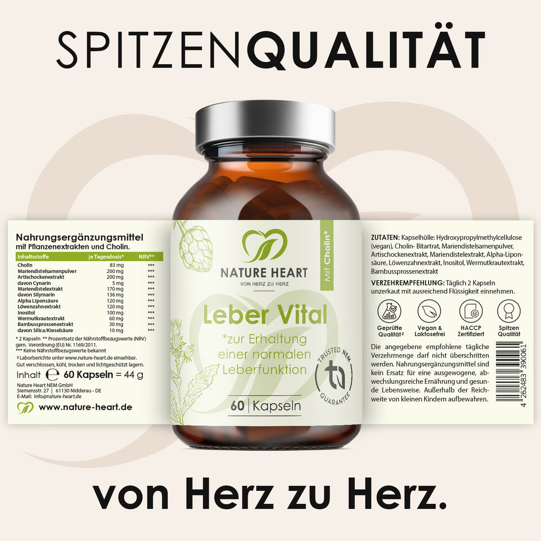 Nature Heart Kräuter-Komplex Leber Vital mit 9 Pflanzenextrakten