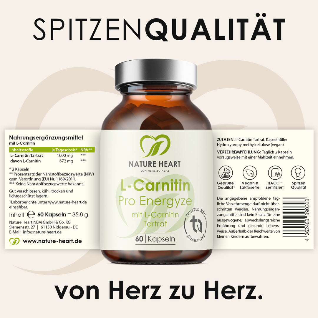 Nature Heart Aminosäuren-Komplex L-Carnitin Pro Energyze