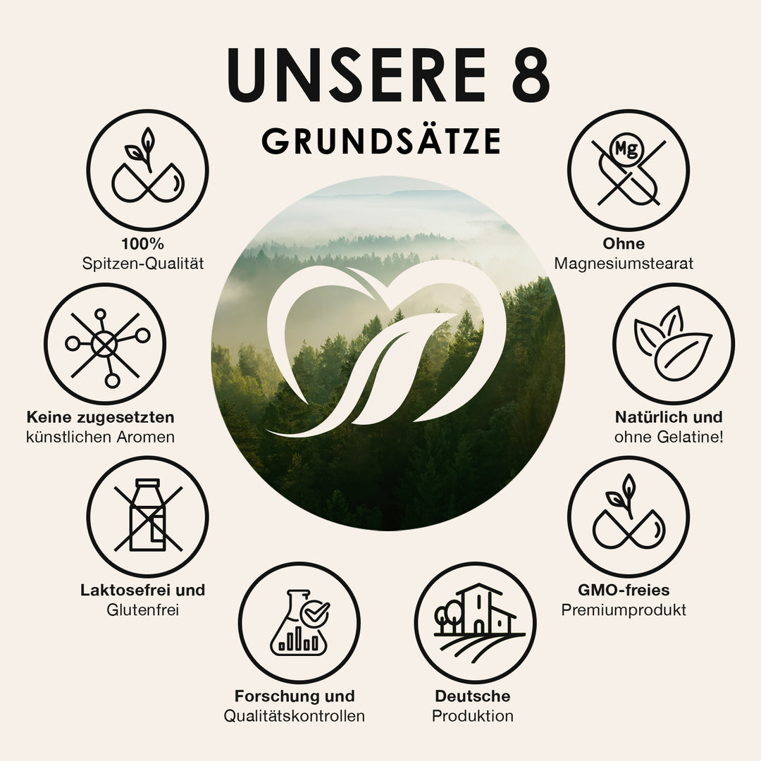 Circulate Flow