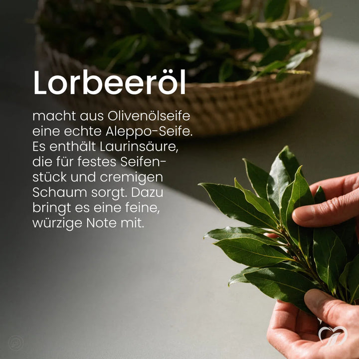 Lorbeeröl mit Laurinsäure macht die Aleppo Orient Hautrein Seife fest und cremig schäumend; Hände halten Lorbeerzweige