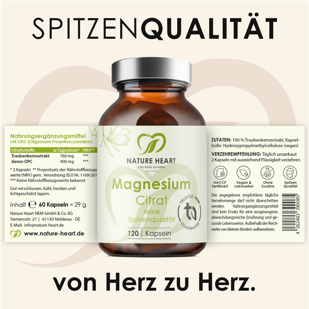 Magnesium Citrat 120 Kapseln vor ausgerolltem Etikett mit Inhaltsstoffen und Verzehrempfehlung unter der Headline Spitzenqualität
