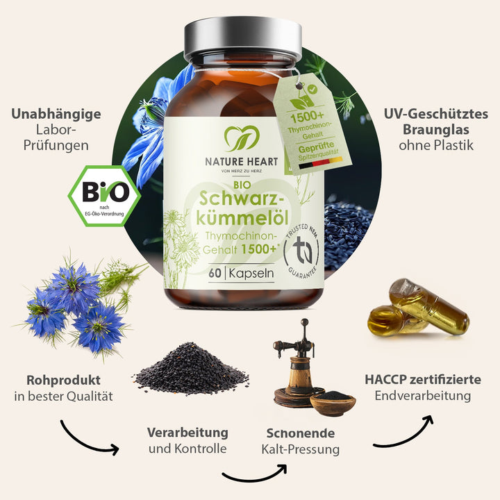 Infografik zum BIO Schwarzkümmelöl 1500+: vom Rohprodukt über Kontrolle und schonende Kaltpressung bis zur HACCP-zertifizierten Endverarbeitung