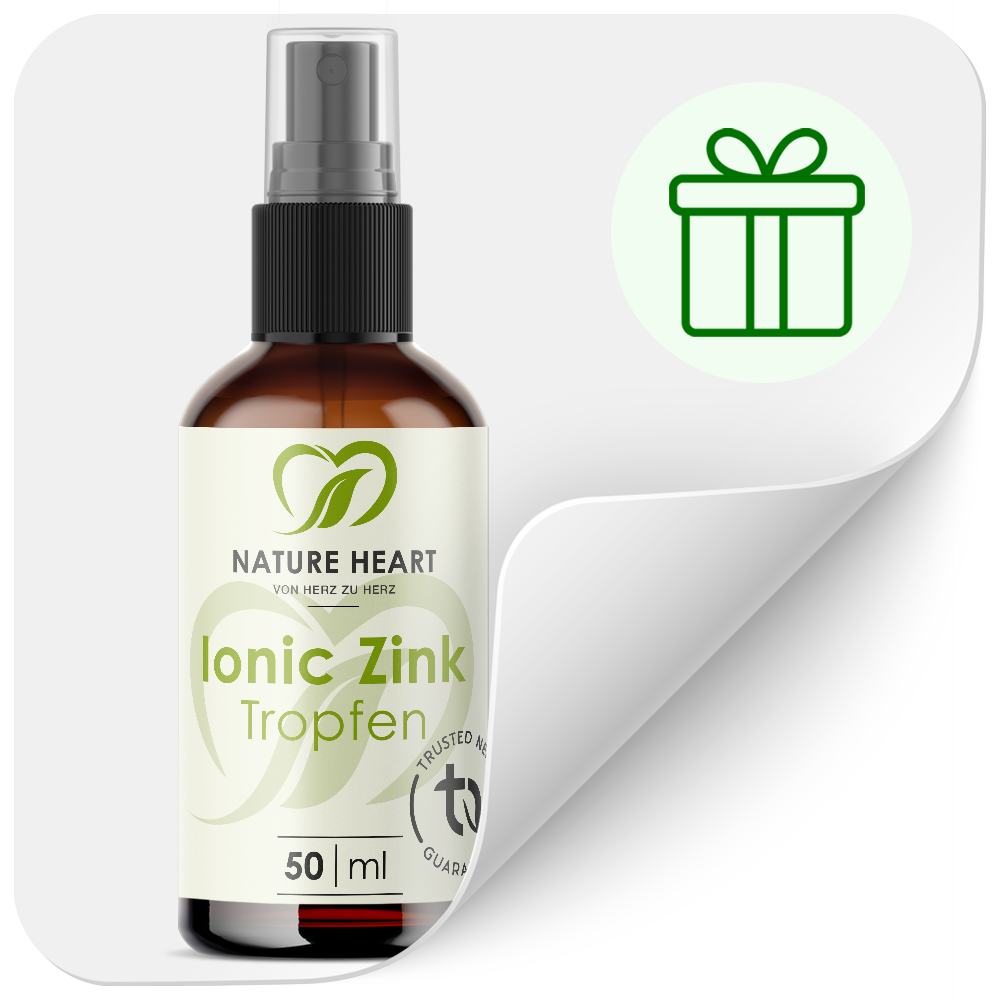 Nature Heart Nahrungsergänzungsmittel DEIN GESCHENK 🎁 Zink Tropfen