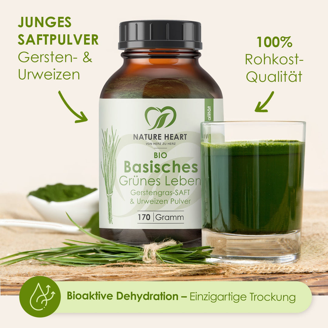 BIO Basisches Grünes Leben Saftpulver aus Gersten- und Urweizen neben einem Glas grünem Saft, Hinweise 100 % Rohkost-Qualität und bioaktive Dehydration