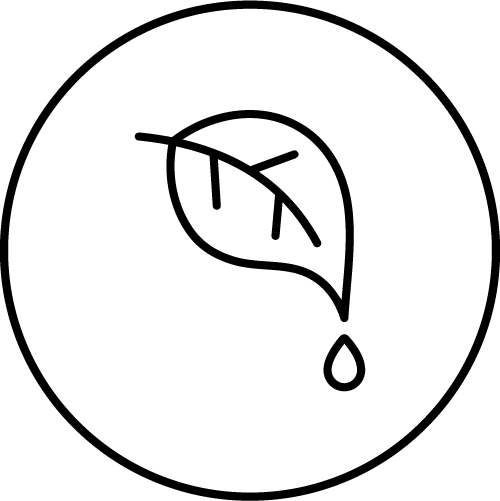 Icon: Blatt mit Tropfen im Kreis