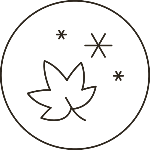 Icon: Herbstblatt mit Schneeflocken