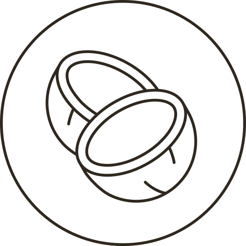 Icon: halbierte Kokosnuss