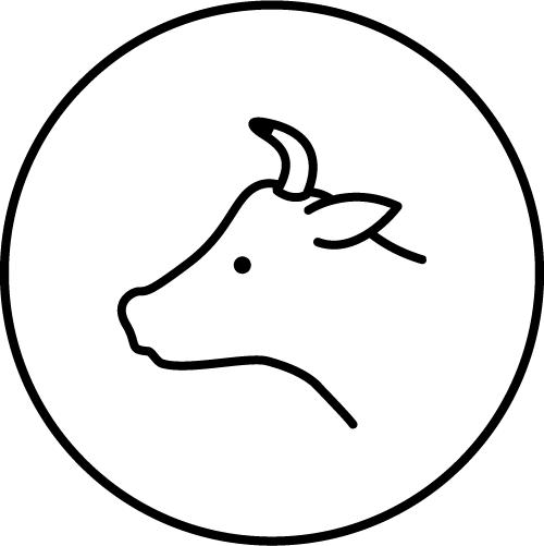 Icon: Rinderkopf im Profil