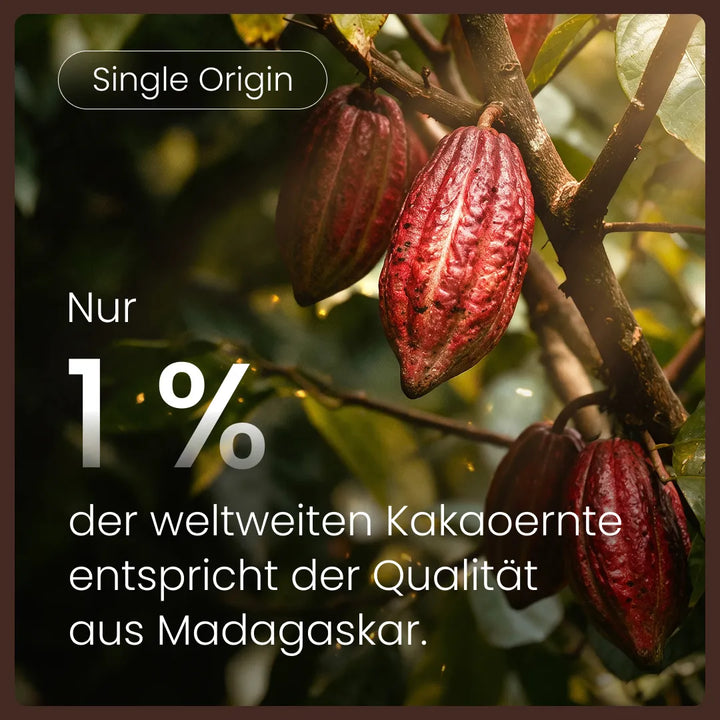 Rote Kakaofrüchte am Baum: Single Origin, nur 1 % der weltweiten Kakaoernte entspricht der Qualität aus Madagaskar