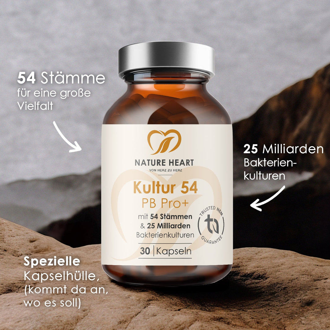 Kultur54 PB Pro+ Flasche auf Felsen mit Hinweisen auf 54 Stämme, 25 Milliarden Bakterienkulturen und spezielle Kapselhülle