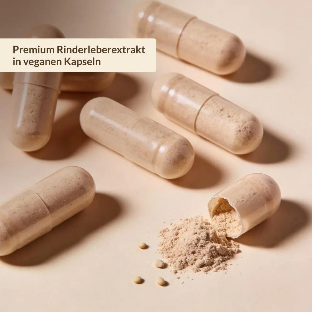 Beige Kapseln der Leber Pur Raw Multiformel, eine davon geöffnet mit Pulver: Rinderleberextrakt in veganen Kapselhüllen