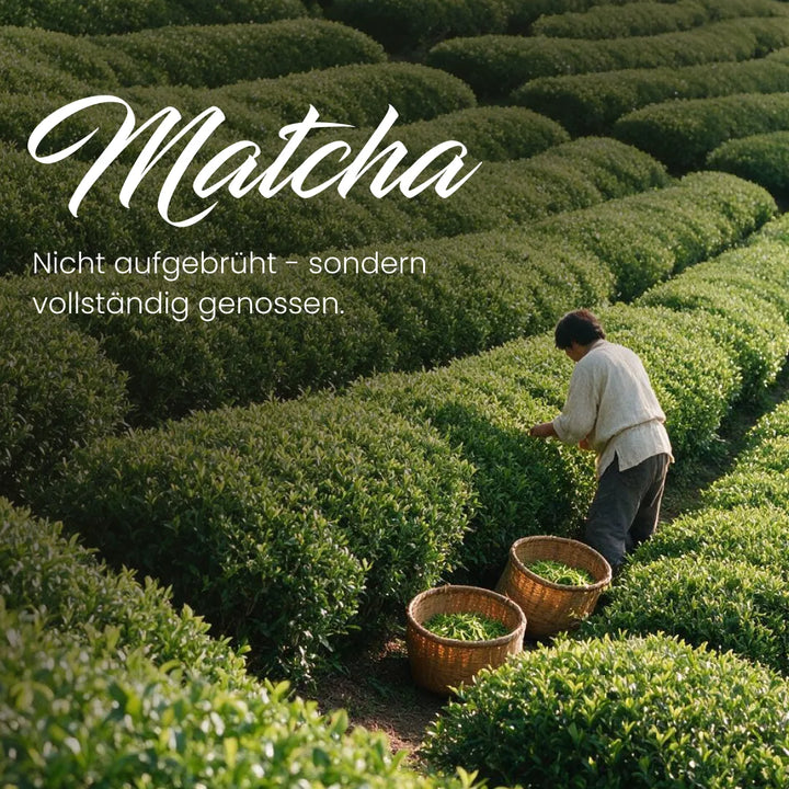 Nature Heart Kollagen Kollagen Iced Matcha