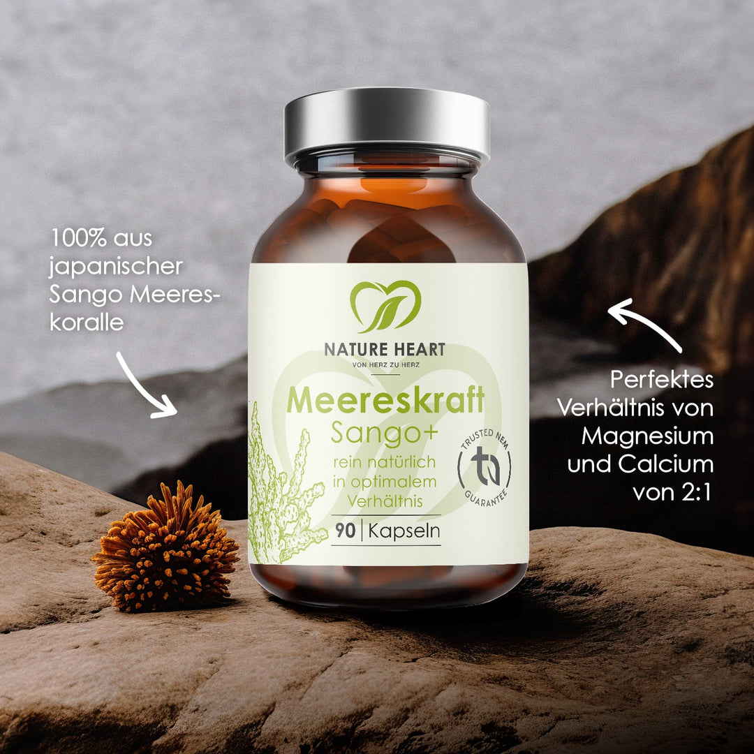 Meereskraft Sango+ Flasche auf Felsen mit Hinweisen auf 100 % japanische Sango Meereskoralle und Magnesium zu Calcium im Verhältnis 2:1