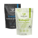 Kreatin Perform & Focus als ultrafeines Pulver in Spitzenqualität, 500 g im schwarzen Standbeutel, zusammen mit Kollagen Pure Peptides aus Weidehaltung, geschmacksneutralem Hydrolysat-Pulver und 18 Aminosäuren, 450 g im grünen Standbeutel mit ultrafeinem Pulver, natürlicher Herkunft und Spitzenqualität, vor grauem Hintergrund.
