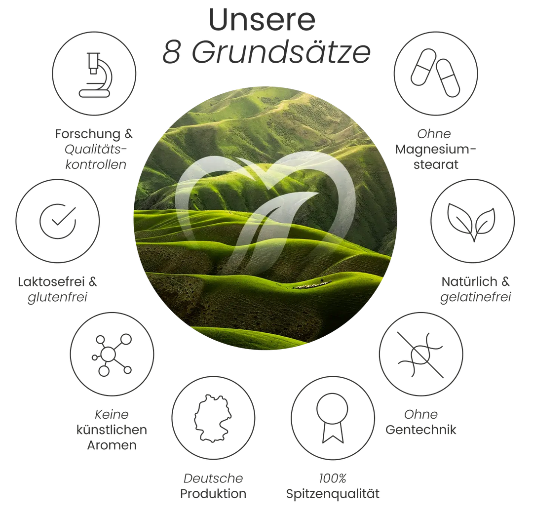 Infografik „Unsere 8 Grundsätze“ von Nature Heart mit einer grünen Hügellandschaft im Zentrum, umgeben von Icons für Qualitätskontrollen, laktose- und glutenfrei, ohne künstliche Aromen, deutsche Produktion, 100% Spitzenqualität, ohne Gentechnik, natürlich und gelatinefrei sowie ohne Magnesiumstearat.