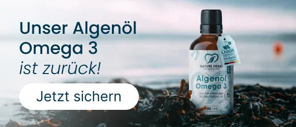Werbebanner für Nature Heart Algenöl Omega-3 aus Mikroalgen, platziert auf Algen vor Meereskulisse. Der Text „Unser Algenöl Omega-3 ist zurück!“ wird durch einen weißen Button mit der Aufschrift „Jetzt sichern“ ergänzt.