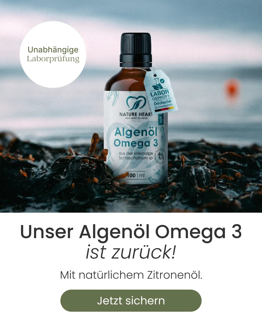 Mobile-Ansicht einer Flasche Nature Heart Algenöl Omega-3 auf Algen am Strand mit dem runden Siegel „Unabhängige Laborprüfung“. Darunter steht der Text „Unser Algenöl Omega-3 ist zurück! Mit natürlichem Zitronenöl.“ über einem olivgrünen Button „Jetzt sichern“.