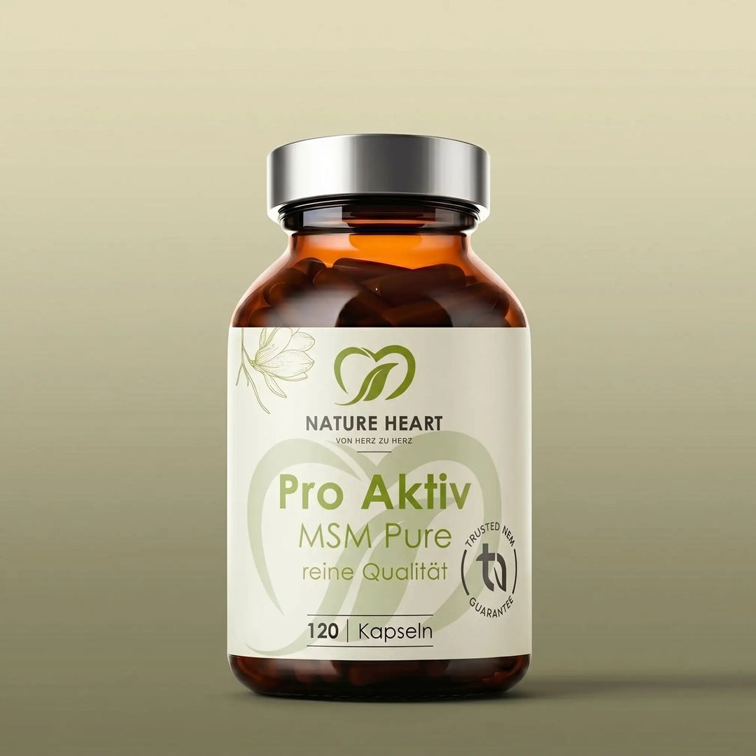 Pro Aktiv MSM Pure mit 120 Kapseln in brauner Glasflasche mit silbernem Deckel auf grünem Hintergrund