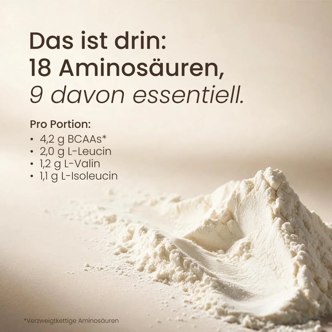 Nature Heart Proteinpulver Creamy Protein Kokos Dream